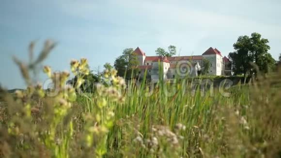 背景古堡中的慢动作绿草如茵视频的预览图