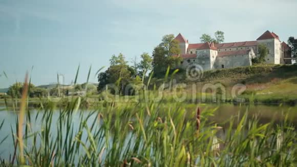 湖旁绿草如茵背景是一座古堡视频的预览图