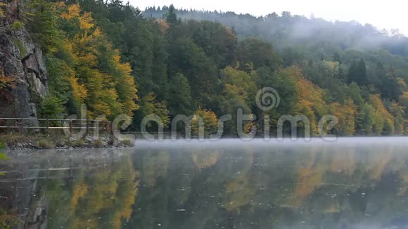 伏塔瓦河上弥漫着令人惊叹的雾秋天的树叶视频的预览图