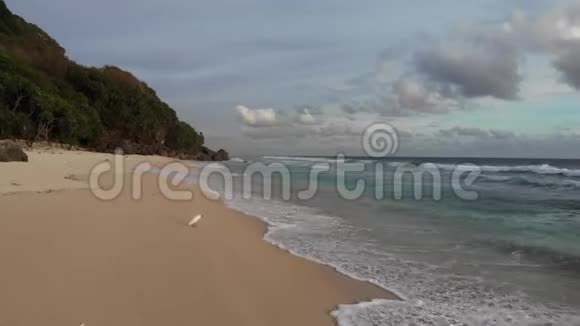 一只海鸥坐在印度洋的沙滩上视频的预览图