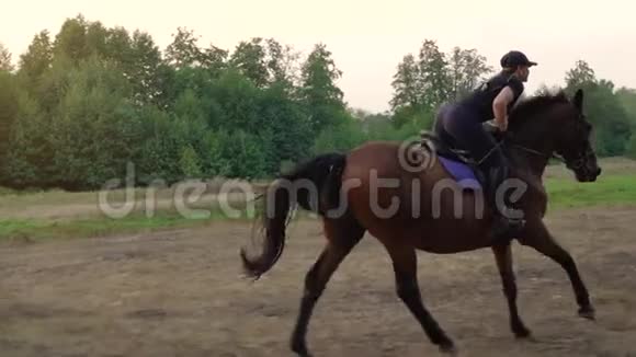 日落时骑马的女人骑马慢动作视频的预览图