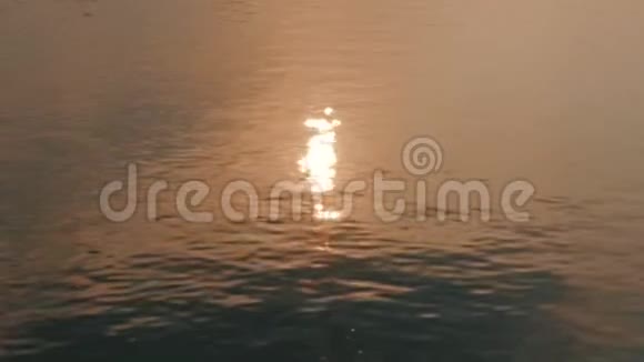 日落时的海面金色的阳光反射在夕阳的海面上在阳光下闪耀视频的预览图