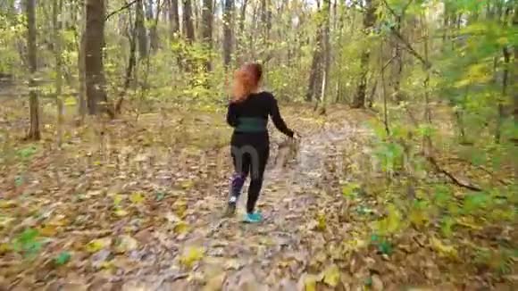 在秋天的森林里红发女孩和美国斯塔福德郡的猎犬在一起视频的预览图