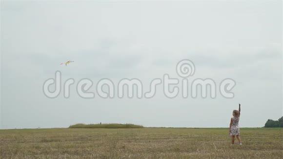 小女孩在田里玩飞风筝视频的预览图