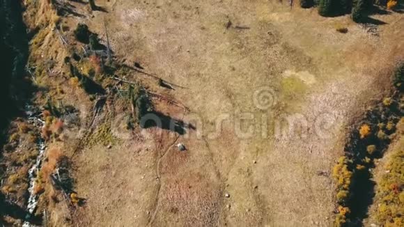 山里的徒步旅行者从无人驾驶飞机俯视穿过黄草的小径视频的预览图