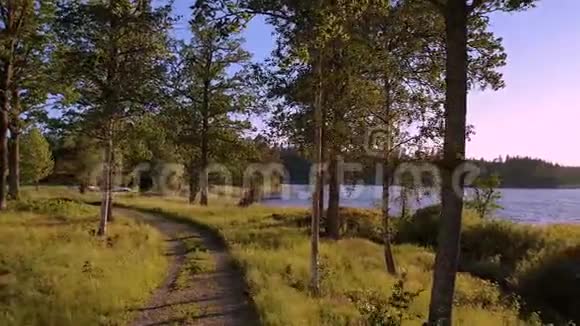 美丽的日落森林湖景蓝天背景下环绕湖泊的绿树和植物欧洲视频的预览图