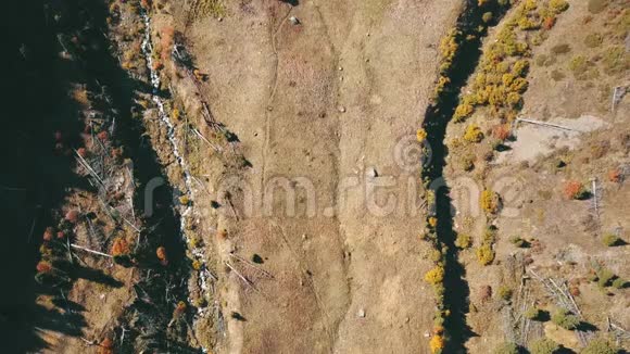 山里的徒步旅行者从无人驾驶飞机俯视穿过黄草的小径视频的预览图