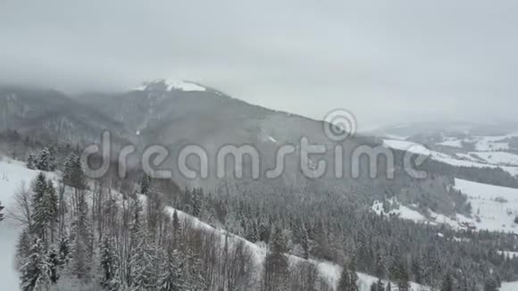 鸟瞰覆盖松树的冬山低飞行超过滑雪场和雪云杉森林美丽视频的预览图