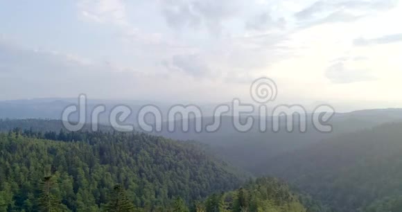 有森林和夕阳的山景4K12视频的预览图