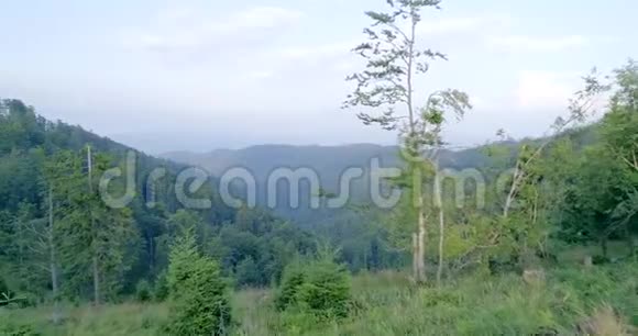 有森林和夕阳的山景4K11视频的预览图