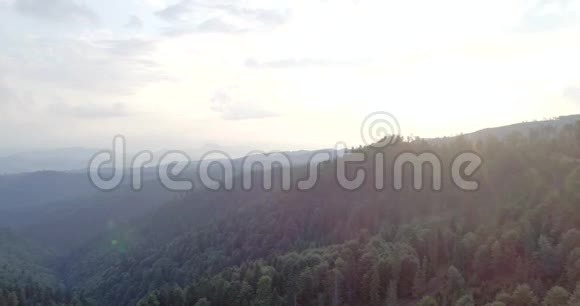 有森林和夕阳的山景4K10视频的预览图