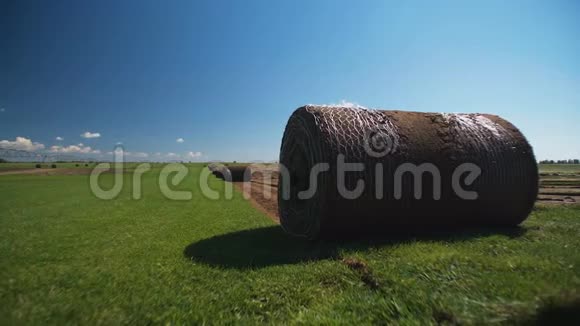 折叠的草坪躺在田野上实地滚动草坪视频的预览图