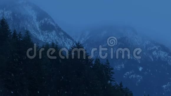 冬天雪落在山上视频的预览图