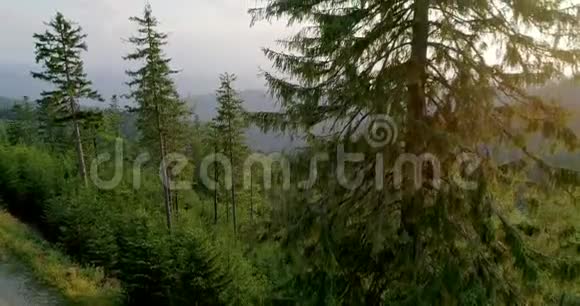有森林和夕阳的山景4K15视频的预览图