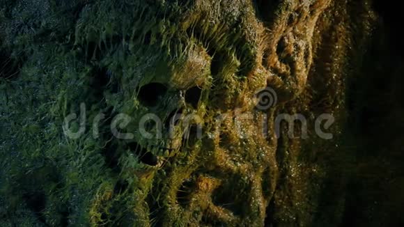 斯利米洞壁的人类头骨视频的预览图