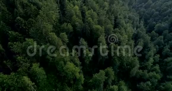有森林和夕阳的山景4K13视频的预览图