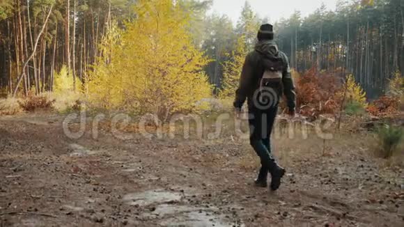 带背包的男性旅行者在秋天的森林里散步视频的预览图