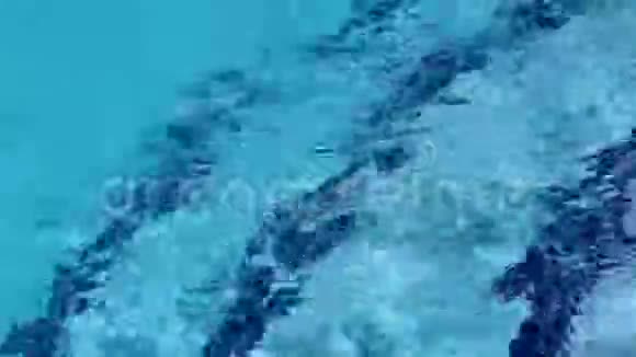 游泳池里的水波荡漾视频的预览图