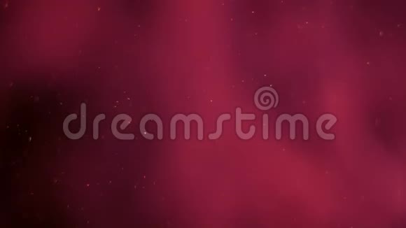 在模糊的前沿上粉红色的光透明雾毯子后面的空间气泡向上移动视频的预览图