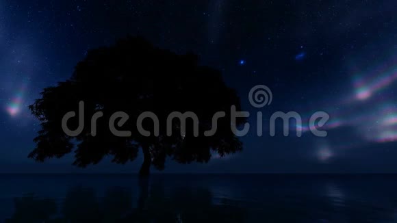 单树北灯夏季背景星系星云恒星北部景观黑暗的背景美丽美丽视频的预览图