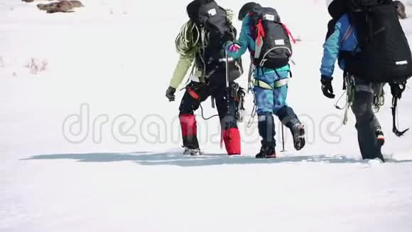冬天一群游客在大雪纷飞的大田野上散步他们艰难地铺好了路视频的预览图