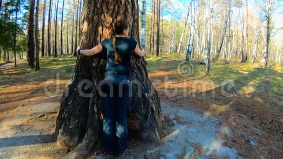 女孩拥抱大树视频的预览图