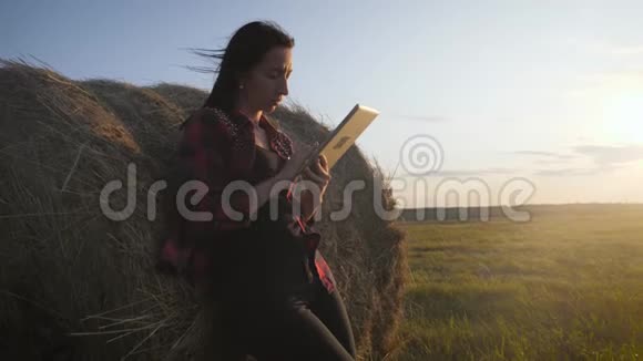 农民依靠干草用平板电脑在麦田上女农民在干草堆旁边的田里使用平板电脑微笑视频的预览图