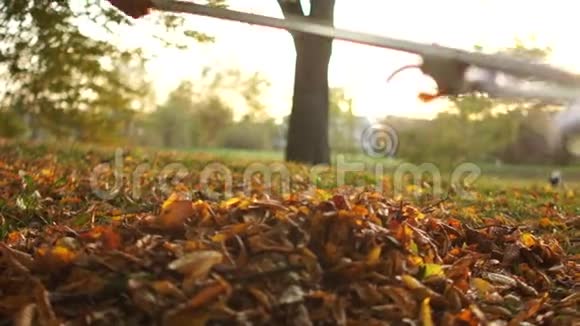 女孩用耙子清理院子里的秋叶秋初落叶视频的预览图