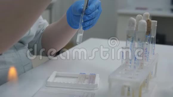 医学实验室的一名妇女检查葡萄球菌对不同物质和抗生素的反应视频的预览图