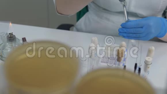 医学实验室的一名妇女检查葡萄球菌对不同物质和抗生素的反应视频的预览图