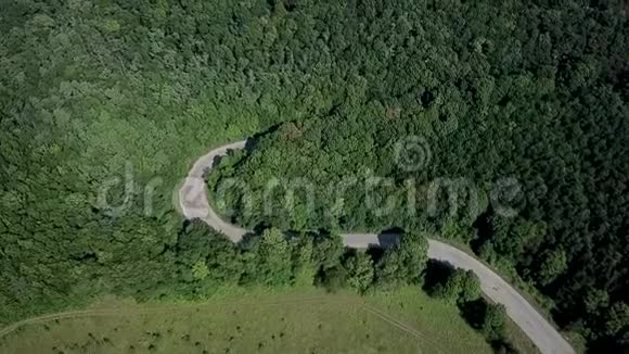 空中景色飞越森林道路汽车移动着两边茂密树林的绿树视频的预览图
