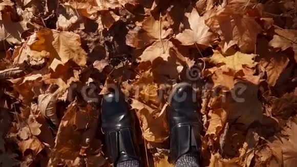 女人的脚成堆的叶子视频的预览图