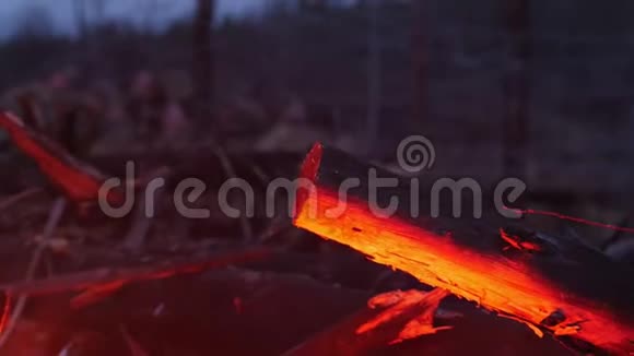 篝火的红光反射在森林中的树林上士兵们站在背景上的铁丝后面视频的预览图