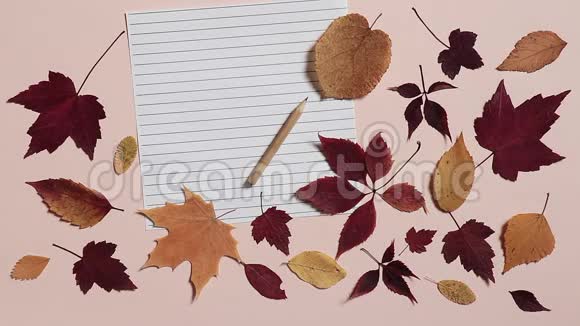 用铅笔和彩色秋叶在粉红色背景上的空纸张风吹散了树叶回到学校的概念视频的预览图