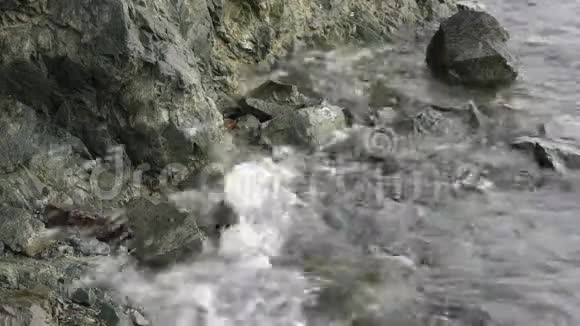 清澈的海水太平洋海浪在涨潮时拍打着岩石海岸视频的预览图