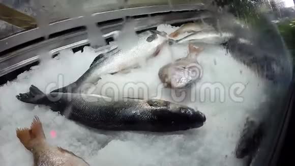 新鲜海鱼在冰上视频的预览图