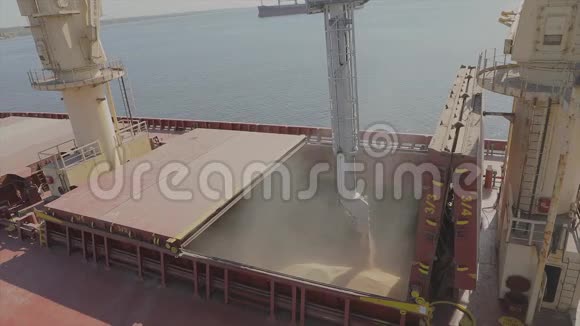 装粮入船运粮的船水中小麦运输视频的预览图
