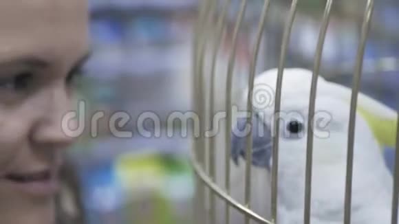 鹦鹉鹦鹉在笼子里视频的预览图