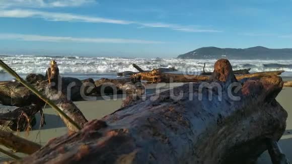 在意大利冬天的一天里海浪在海岸线上的树林中坠毁在地中海上视频的预览图