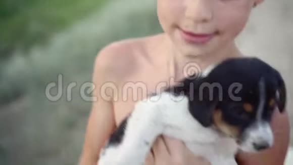 半裸的8岁男孩抱着一只小狗一个带着其他小狗的婊子跑在附近视频的预览图