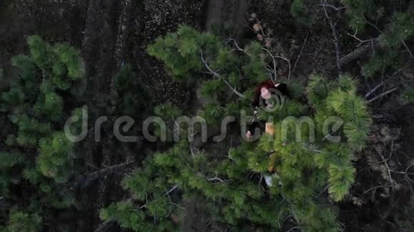 松林松树冠上躺着的活泼好动的红发女孩的空中飞射视频的预览图