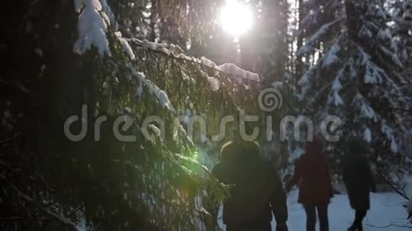一群朋友慢慢地沿着冬天的森林小径散步视频的预览图