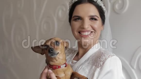 美丽可爱的新娘穿着睡衣和面纱带着有趣的狗婚礼视频的预览图