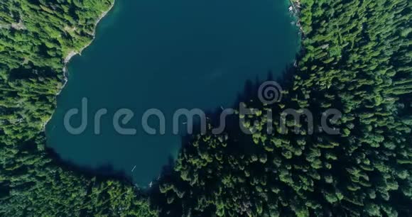 阿布哈兹的蓝色山湖马来亚里萨全景大湖里萨与高山松树的景色视频的预览图