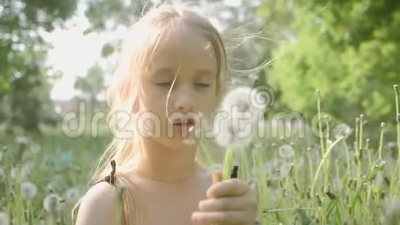 春天的喜悦可爱的女孩吹蒲公英美丽可爱的女孩在阳光明媚的日子在绿色的自然背景视频的预览图