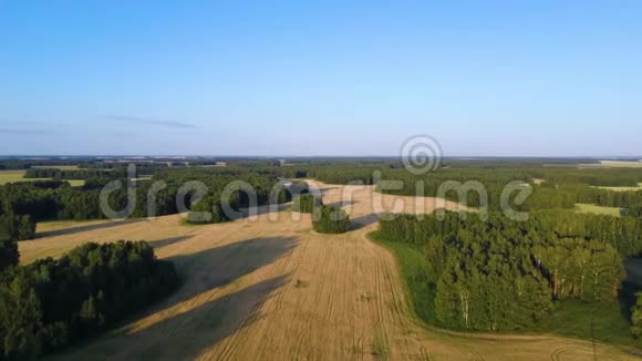 空中无人机在日落时拍摄收获的田野4K射击视频的预览图