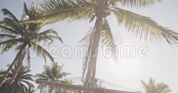 POV年轻漂亮的女人在椰子树下的吊床上放松异国情调放松生活方式广告视频的预览图