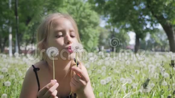 春天的喜悦可爱的女孩吹蒲公英美丽可爱的女孩在阳光明媚的日子在绿色的自然背景视频的预览图