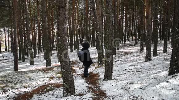 徒步旅行者带背包在雪林徒步旅行视频的预览图