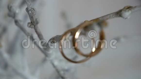 树枝上的结婚戒指视频的预览图